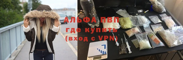 молекула духа Михайлов
