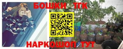 spice Гатчина