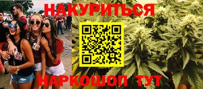 spice Гатчина