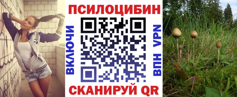 Галлюциногенные грибы Psilocybine cubensis  наркошоп  Качканар 