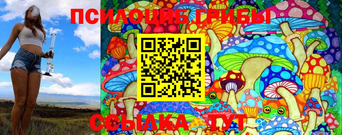 Галлюциногенные грибы прущие грибы Качканар
